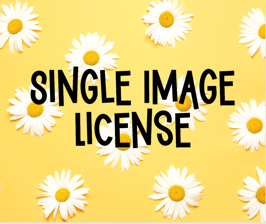 Single Digital Transfer License